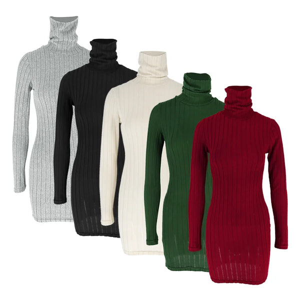Turtleneck Bodycon Mini Dress